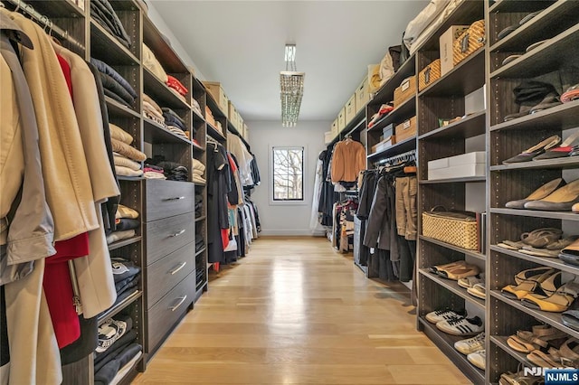 walk in closet with light wood-type flooring