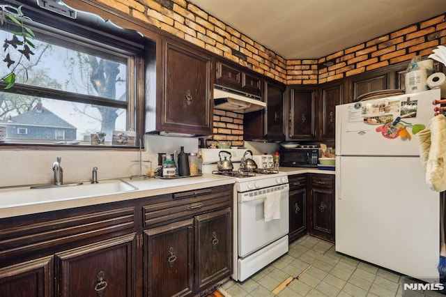 kitchen with dark brown cabinets, white appliances, light countertops, under cabinet range hood, and a sink