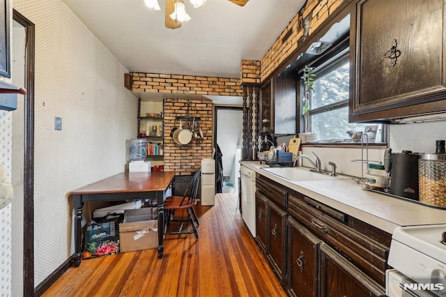 kitchen featuring a sink, white appliances, wood finished floors, and dark brown cabinets