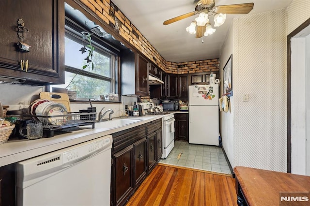 kitchen with a ceiling fan, dark brown cabinets, light countertops, under cabinet range hood, and white appliances
