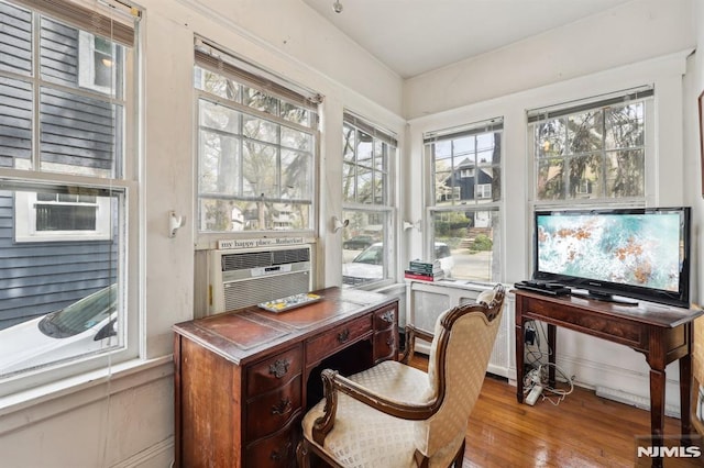 office space featuring wood finished floors