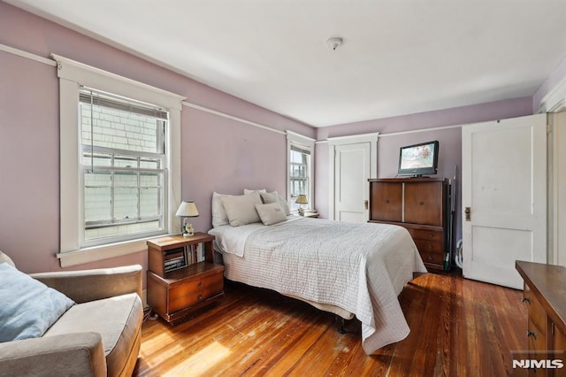 bedroom featuring multiple windows, wood finished floors, and a closet