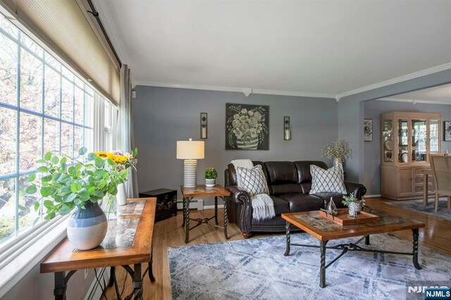 living room with baseboard heating, baseboards, crown molding, and wood finished floors