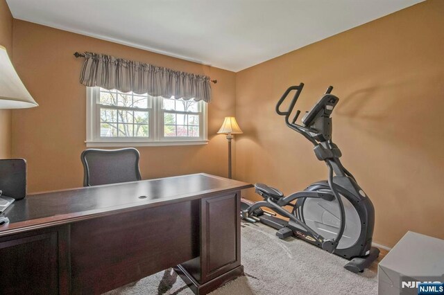 home office with carpet floors