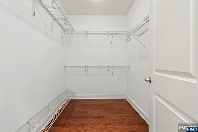 walk in closet with dark wood-style floors