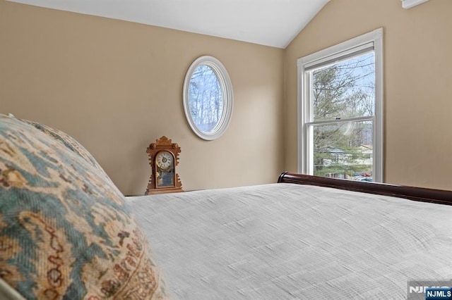 bedroom featuring lofted ceiling and multiple windows