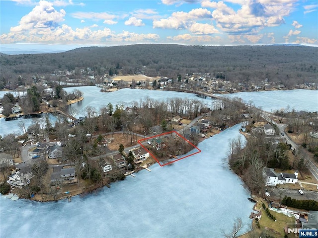 drone / aerial view with a view of trees and a water view