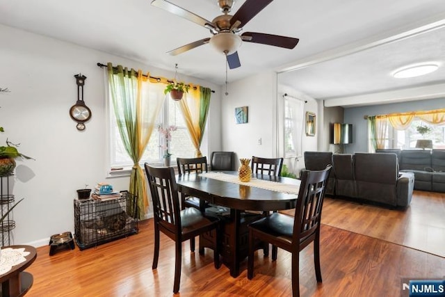 dining room featuring a ceiling fan and wood finished floors