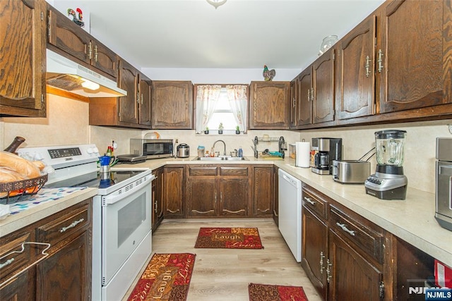 kitchen with a sink, white appliances, light wood finished floors, light countertops, and under cabinet range hood