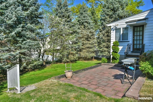 view of yard featuring a patio