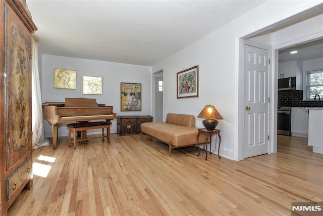 living area featuring light wood-style floors