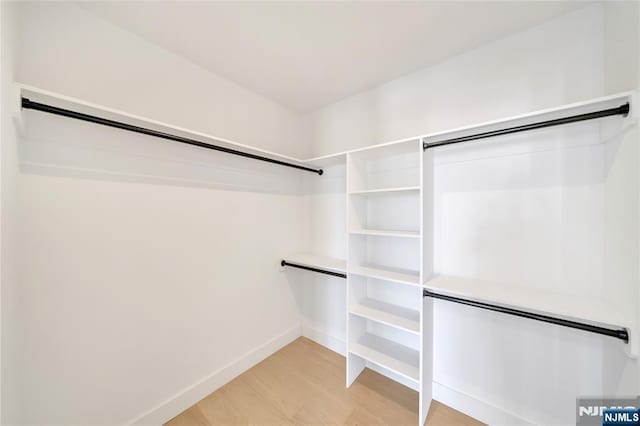 spacious closet featuring light wood finished floors