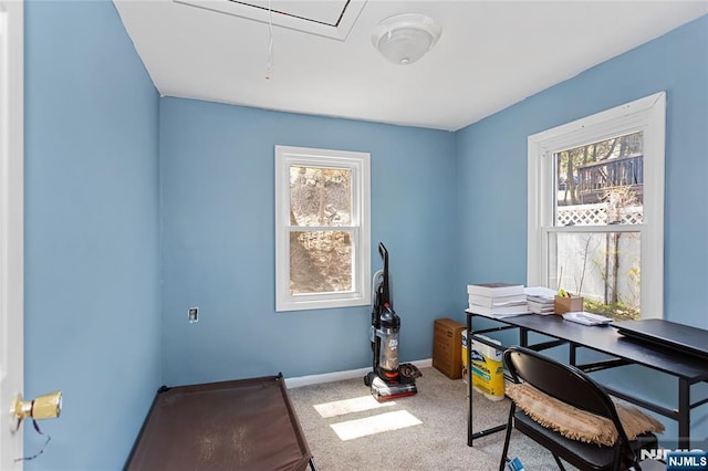 office with attic access, carpet flooring, and baseboards