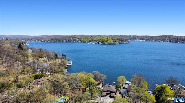 property view of water