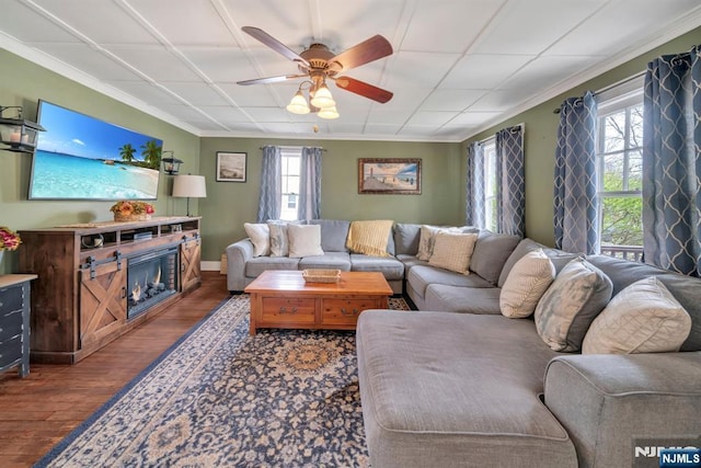 living room featuring a ceiling fan, wood finished floors, a wealth of natural light, and ornamental molding