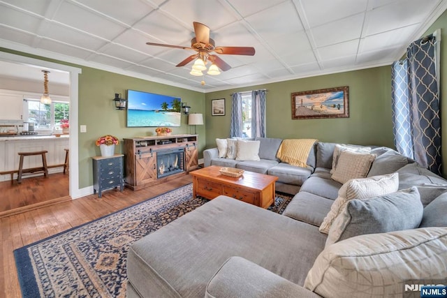 living room featuring ceiling fan, hardwood / wood-style floors, baseboards, a glass covered fireplace, and ornamental molding