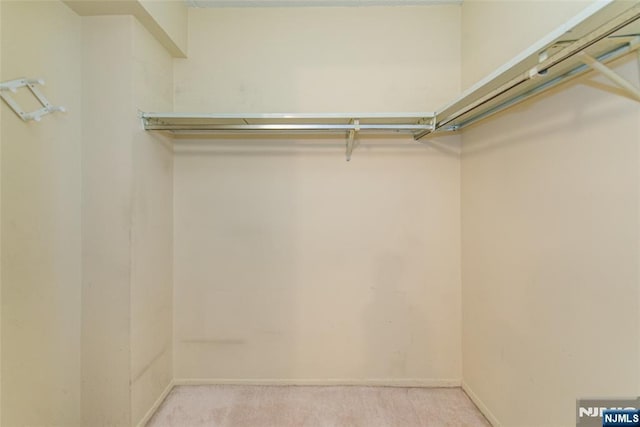 spacious closet with carpet