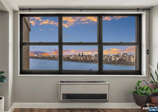 detailed view of wood finished floors, baseboards, a view of city, and a water view