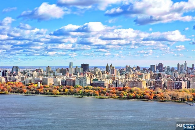 city view with a large body of water
