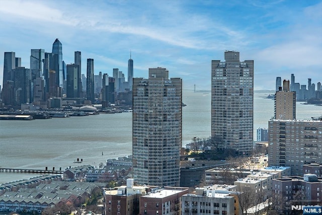 view of city with a large body of water