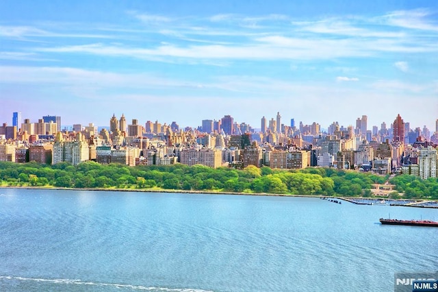 view of city featuring a large body of water