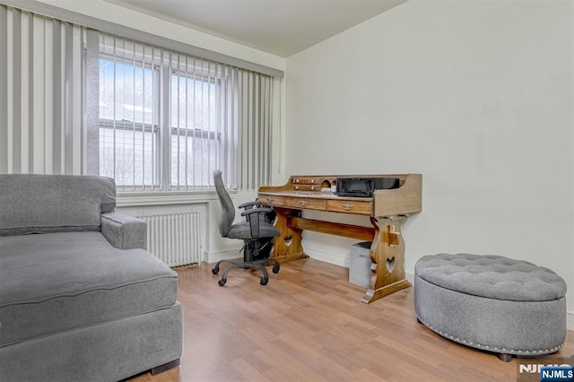 office space featuring radiator, baseboards, and wood finished floors