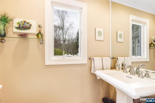 bathroom featuring a sink and crown molding