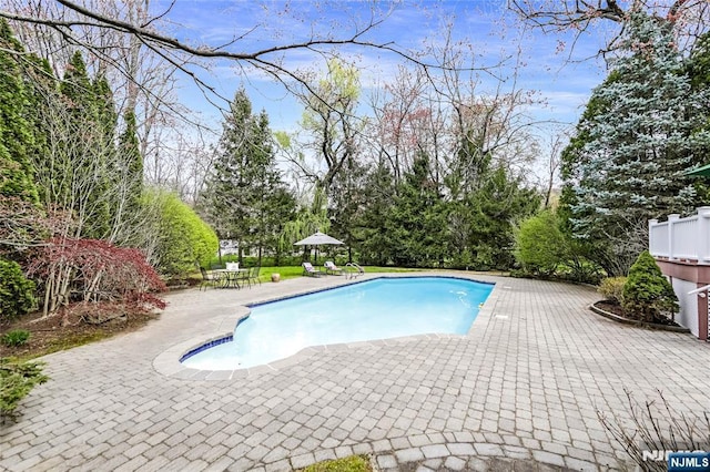 outdoor pool featuring a patio