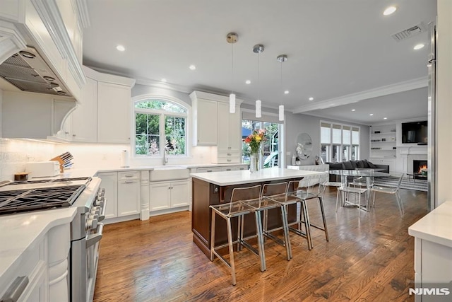 kitchen with premium range hood, double oven range, ornamental molding, and visible vents