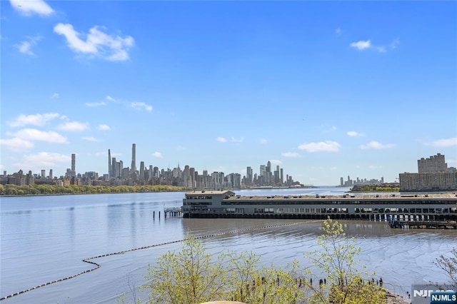 view of water feature with a city view