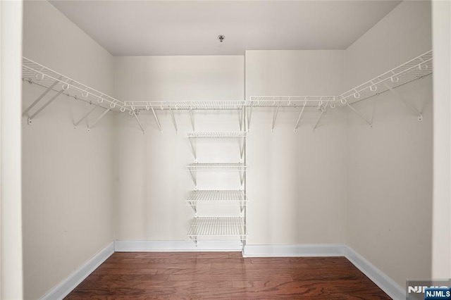 walk in closet with wood finished floors