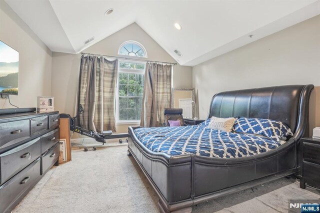 150 Blue Heron Dr, Secaucus, NJ 07094 - carpeted bedroom with vaulted ceiling