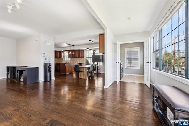 entryway featuring baseboards, dark wood-style floors, and a wealth of natural light