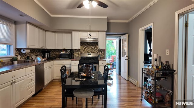 kitchen with a ceiling fan, tasteful backsplash, light wood-type flooring, appliances with stainless steel finishes, and under cabinet range hood