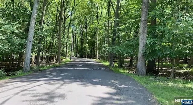 308 Garfield St, Haworth, NJ 07641 - view of road featuring a view of trees