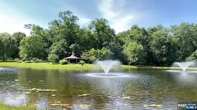 308 Garfield St, Haworth, NJ 07641 - view of water feature with a gazebo