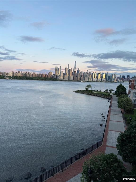 7400 River Rd Unit 431, North Bergen, NJ 07047 - water view featuring skyline