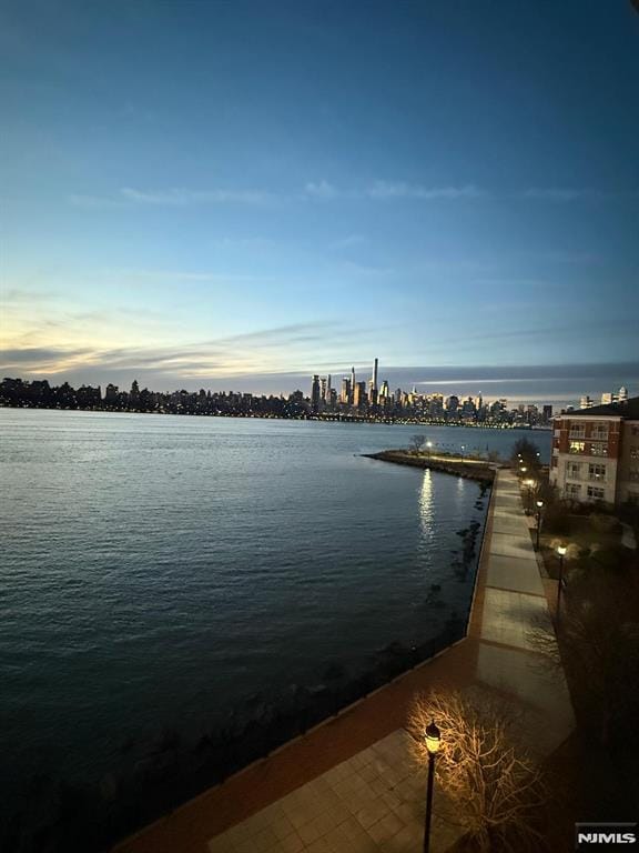 7400 River Rd Unit 431, North Bergen, NJ 07047 - water view