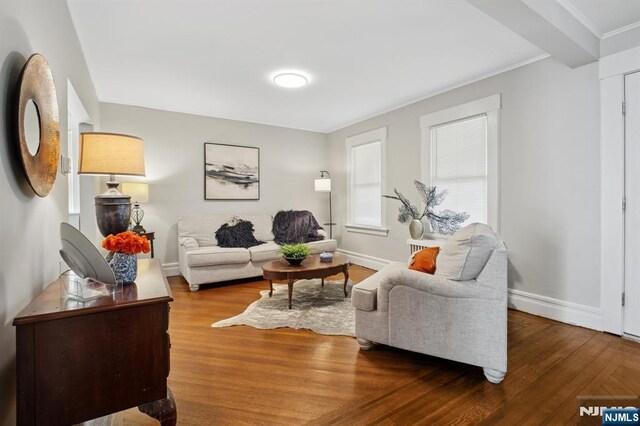 living room featuring baseboards and wood finished floors