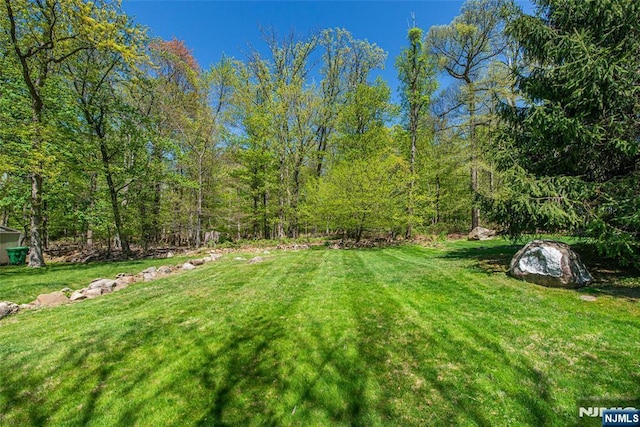 view of yard with a wooded view