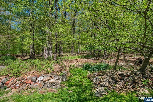 view of landscape with a wooded view