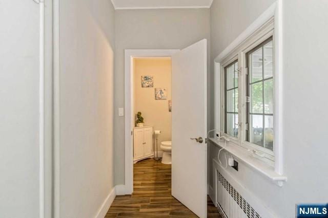 hall featuring baseboards, radiator, and dark wood-style flooring