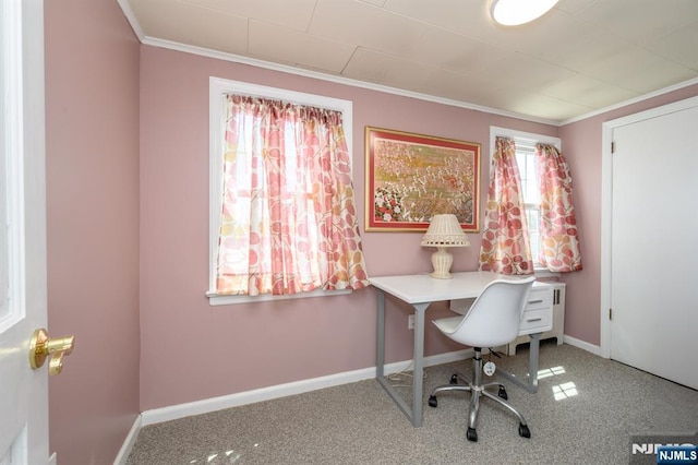 office featuring ornamental molding, carpet floors, and baseboards