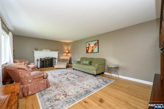 living area featuring baseboards, wood finished floors, and a fireplace