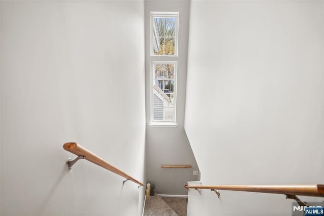2304 Wendover Dr, Pequannock Township, NJ 07444 - stairway featuring baseboards and carpet floors