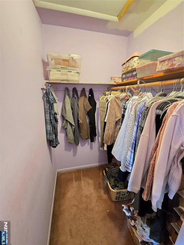 walk in closet featuring carpet