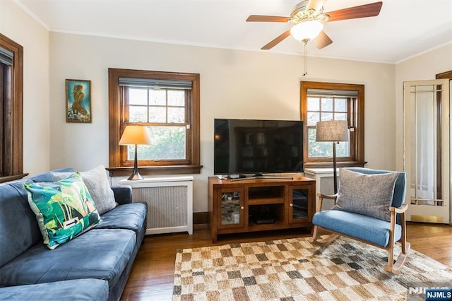 living room with radiator heating unit, wood finished floors, and a healthy amount of sunlight