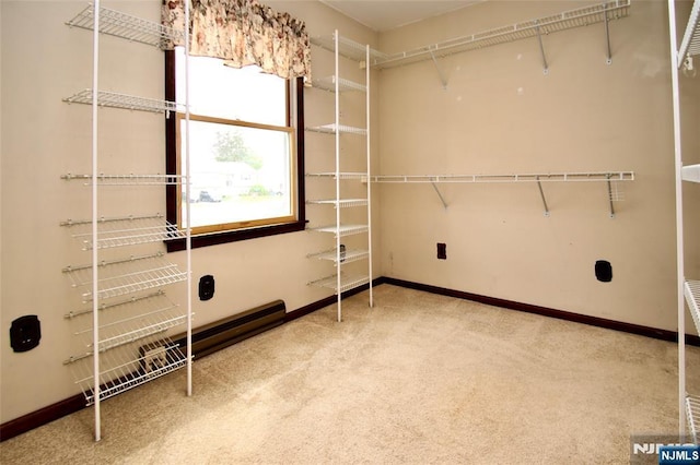 interior space featuring baseboards and carpet floors