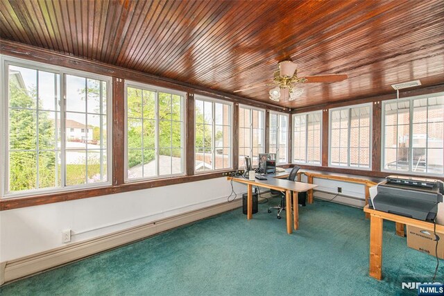117 Saint Marys Pl, Nutley, NJ 07110 - unfurnished sunroom with carpet floors, a baseboard radiator, wood ceiling, and visible vents