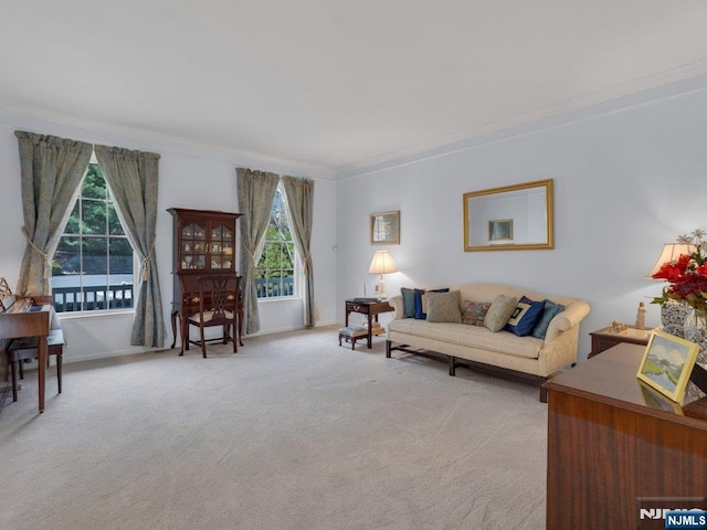 6 Knollwoods, Oakland, NJ 07436 - living area with carpet flooring, baseboards, a wealth of natural light, and crown molding